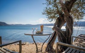 Beautiful Traditional Stone House In The Private Sea Front Olive Grove Of Elaionas Nikou Luxury Villas